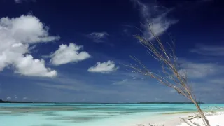 Cesty kolem světa (10/12)