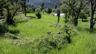 Zázračná planeta: Asie (5/7)