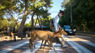 Zázračná planeta: Asie (5/7)