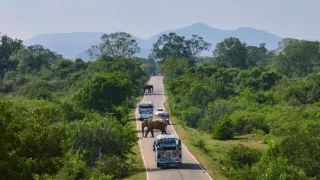Zázračná planeta: Asie (5/7)