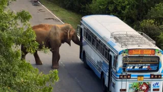 Zázračná planeta: Asie (5/7)