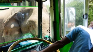 Zázračná planeta: Asie (5/7)