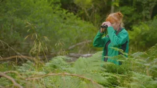 Skrytý život v lese (3)