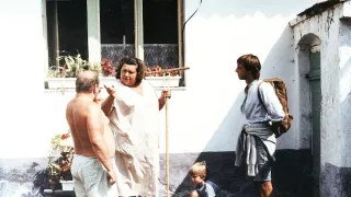 Slunce, seno, jahody