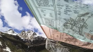 Tajomné opice zo Šangri-la