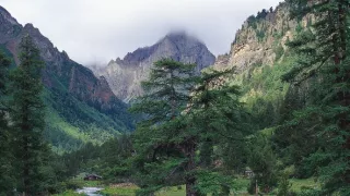 Tajomné opice zo Šangri-la