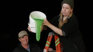 Dva a půl chlapa V (10)