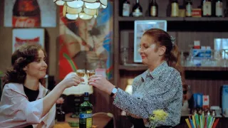 Prípady podporučíka Haniku (5)