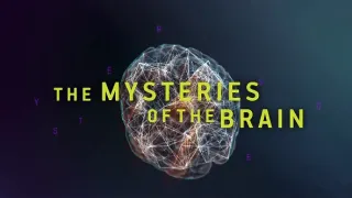 Záhady mozgu