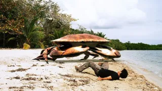 Sedmero dobrodružství Sindibáda