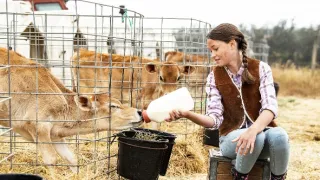 Šťastné a veselé z Kalifornie 2