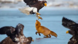 Zázračná planeta: Asie (3/7)