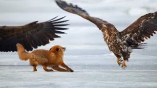 Zázračná planeta: Asie (3/7)