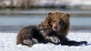 Zázračná planeta: Asie (3/7)