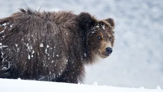 Zázračná planeta: Asie (3/7)