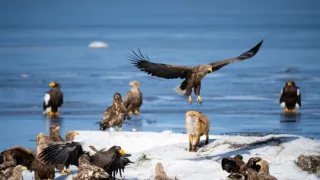 Zázračná planeta: Asie (3/7)