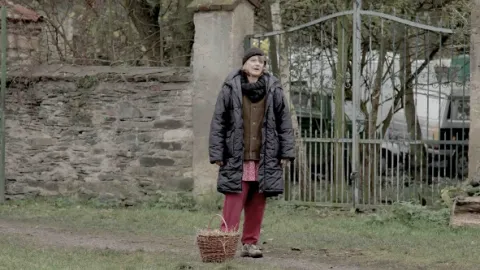 Záblesky chladné neděle