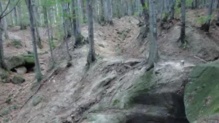 Divočina bez hranic