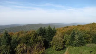 Divočina bez hranic