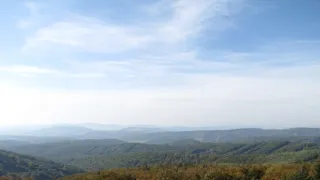 Divočina bez hranic