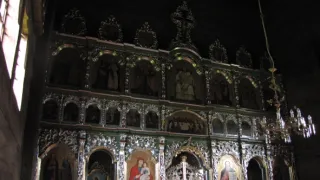 Divočina bez hranic