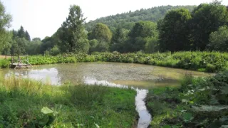 Divočina bez hranic