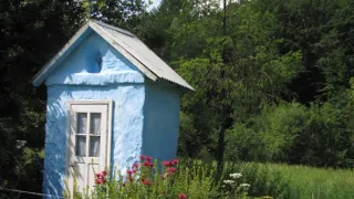 Divočina bez hranic