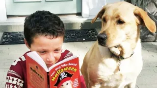 Pes, který zachránil Halloween