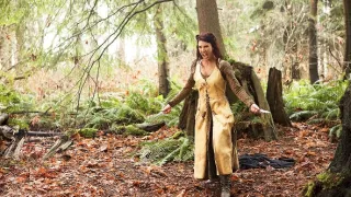 Ve jménu krále 2: Dva světy