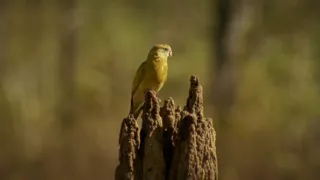 Budovatelé přírody (3/3)