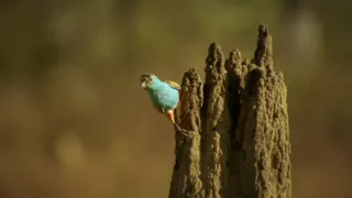 Budovatelé přírody (3/3)