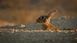 Budovatelé přírody (3/3)