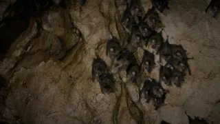 Budovatelé přírody (3/3)