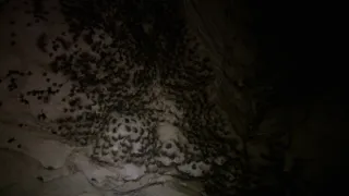 Budovatelé přírody (3/3)