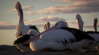 Budovatelé přírody (3/3)