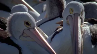 Budovatelé přírody (3/3)