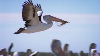 Budovatelé přírody (3/3)