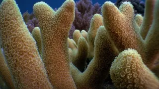 Budovatelé přírody (3/3)