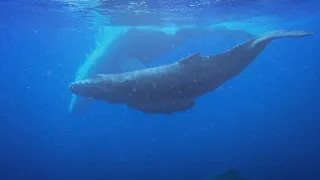 Budovatelé přírody (3/3)