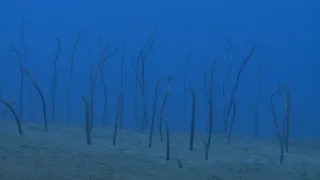 Budovatelé přírody (3/3)