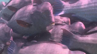 Budovatelé přírody (3/3)