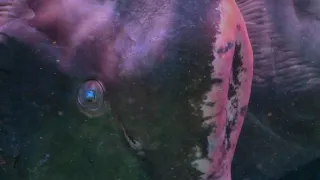 Budovatelé přírody (3/3)