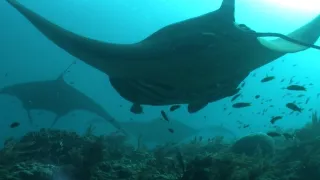 Budovatelé přírody (3/3)