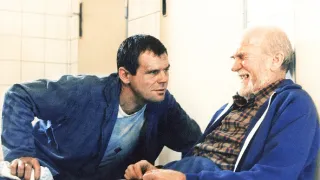 Dobří holubi se vracejí