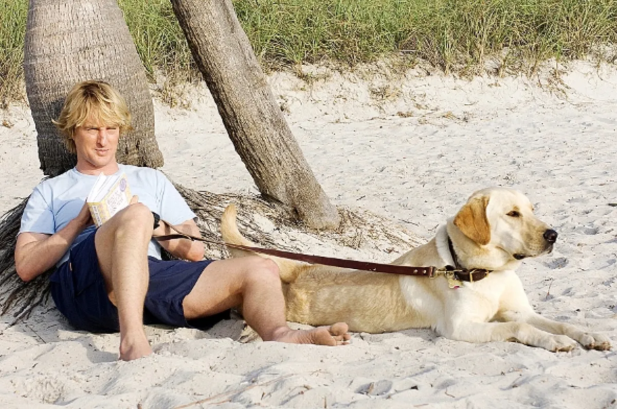 Marley a ja (Marley & Me) - fotogaléria