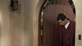 Dva a půl chlapa V (13)