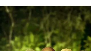 Jumanji: Vitajte v džungli