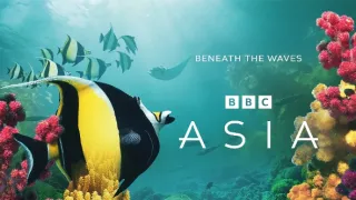 Zázračná planeta: Asie (6/7)