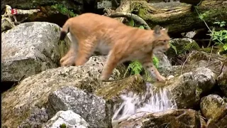Vysoké Tatry - divočina zamrznutá v čase