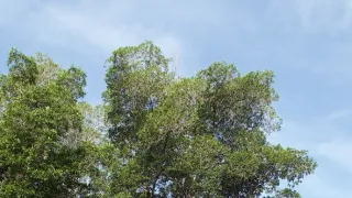 Kořeny života (2/3)